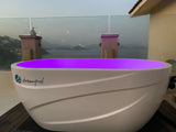 Dreampod Ice Series |  Ice Bath with Chiller